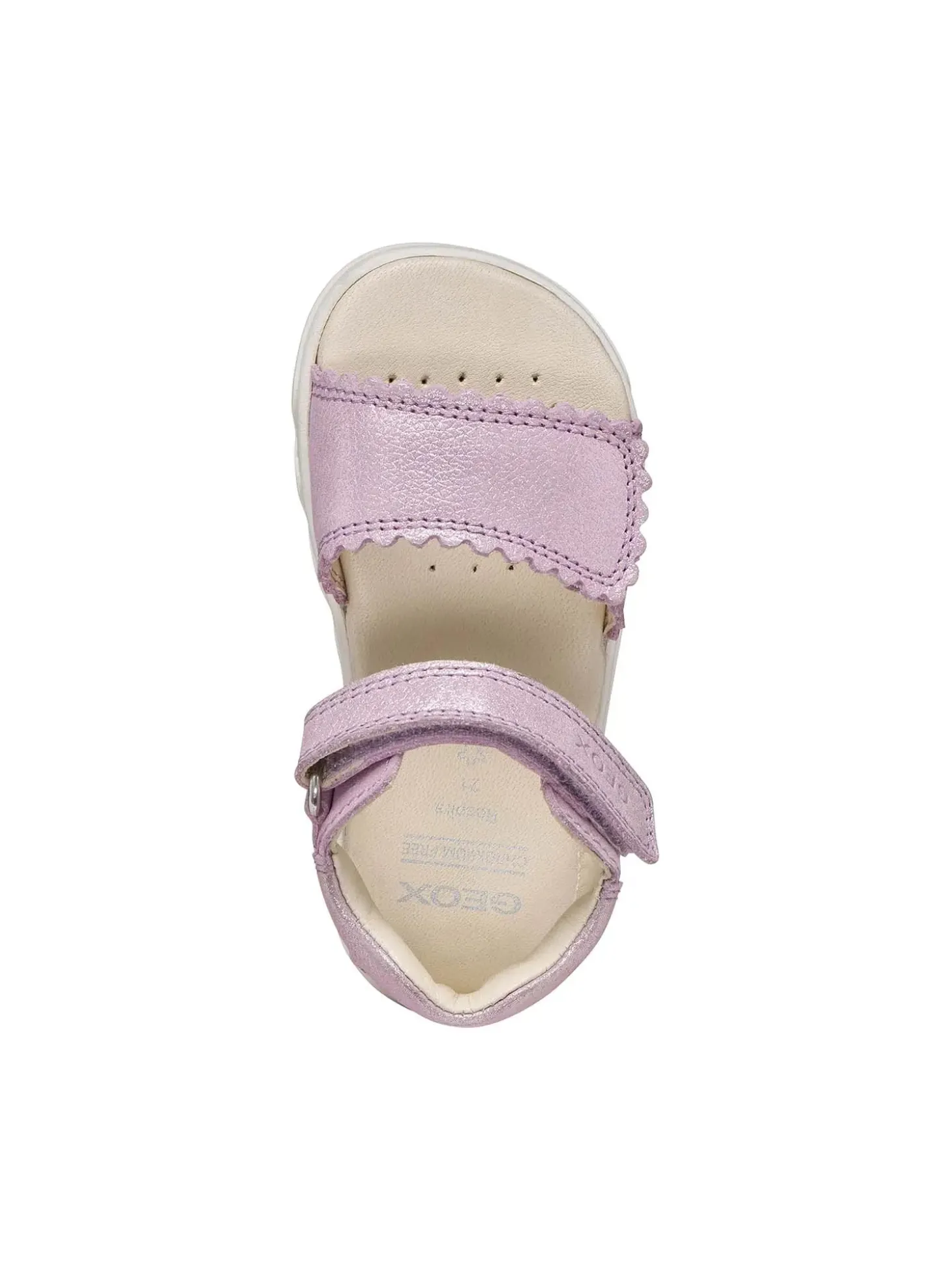 SANDALO BAMBINO - GEOX LILLA - B656QB 000CR